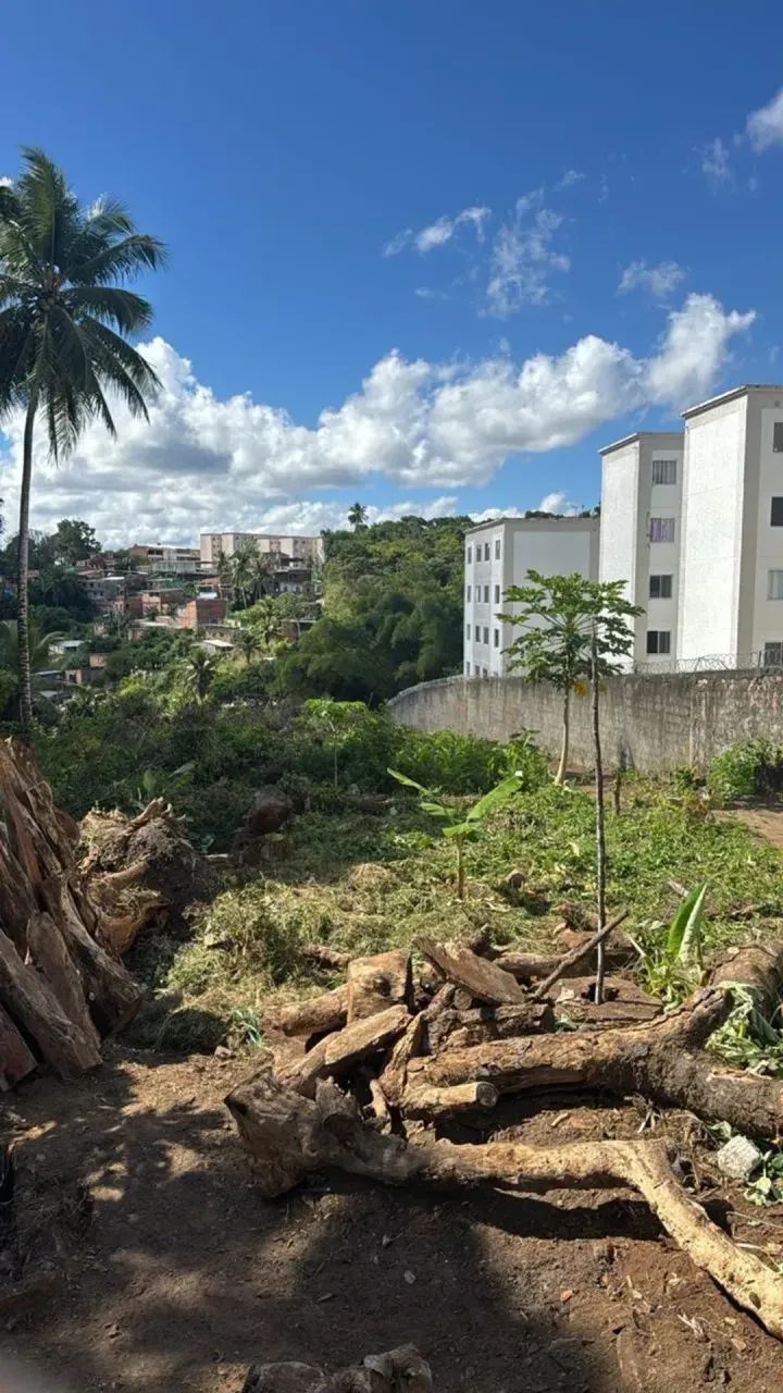 VENDO TERRENO EM CAJAZEIRAS - Foto 3