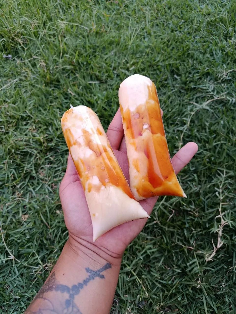 Geladão gourmet  - Foto 2