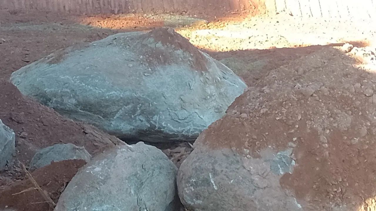 Quebra pedras  - Foto 2
