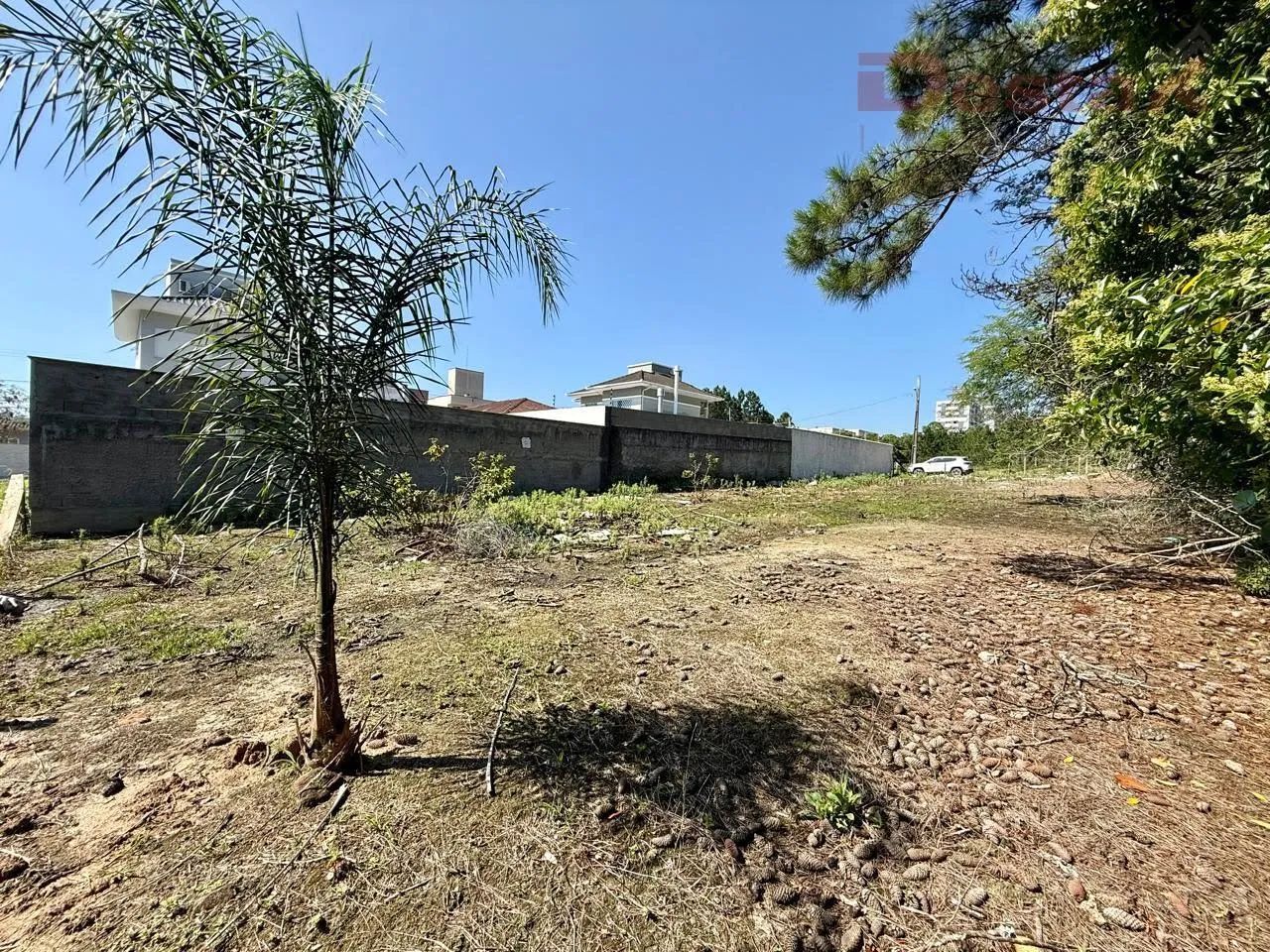 Terreno em Areias - São José - Foto 3