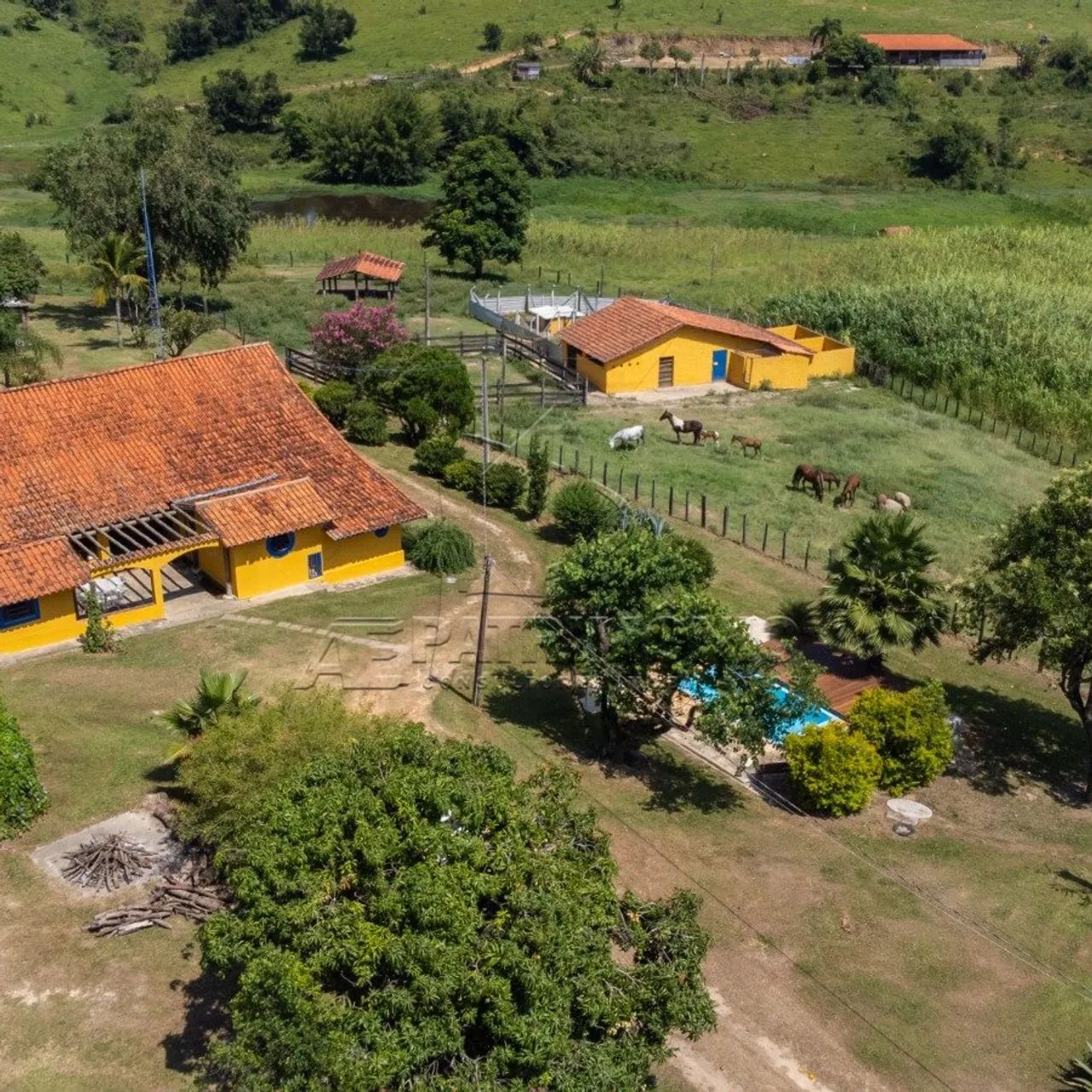 SITIO COM CASA TERREA 3 QUARTOS - Capanema - Foto 4
