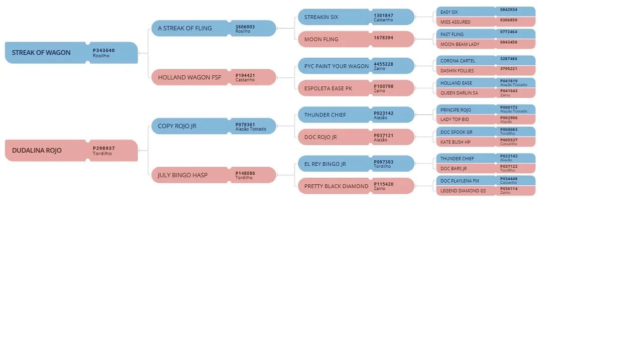 Potra Quarto de Milha Pura - Foto 6