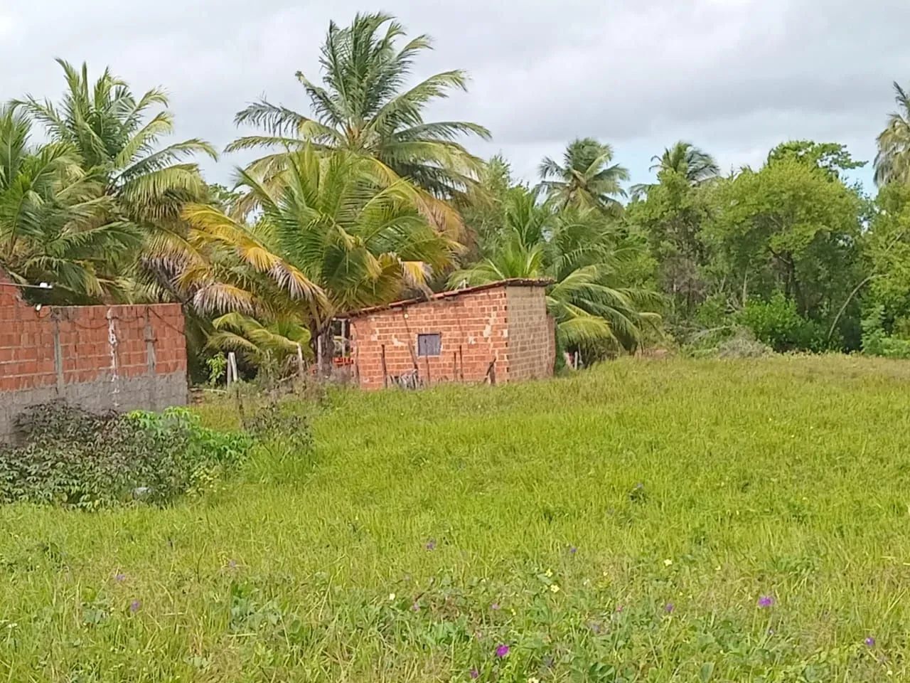 Terreno em frente á praia  - Pecém  - Foto 2