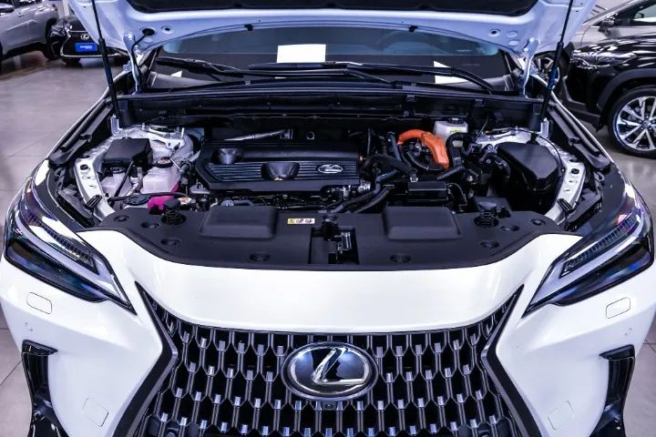 Lexus NX-350h Luxury 2.5 16V Aut. (hybrid), foto 13 de 20