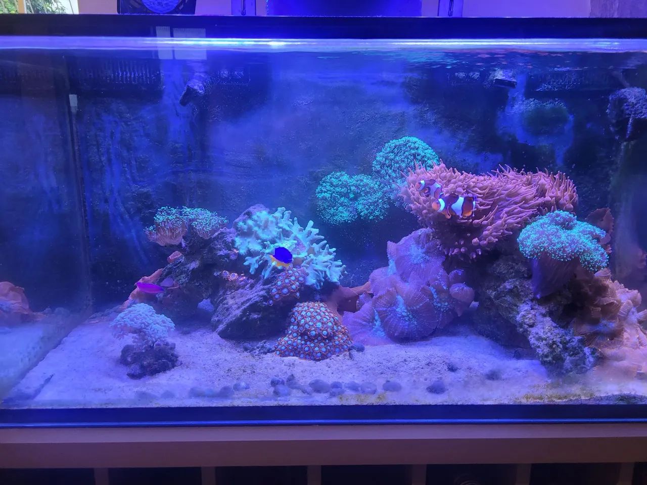 Luminaria Maxspect MJ-L130 - Foto 2