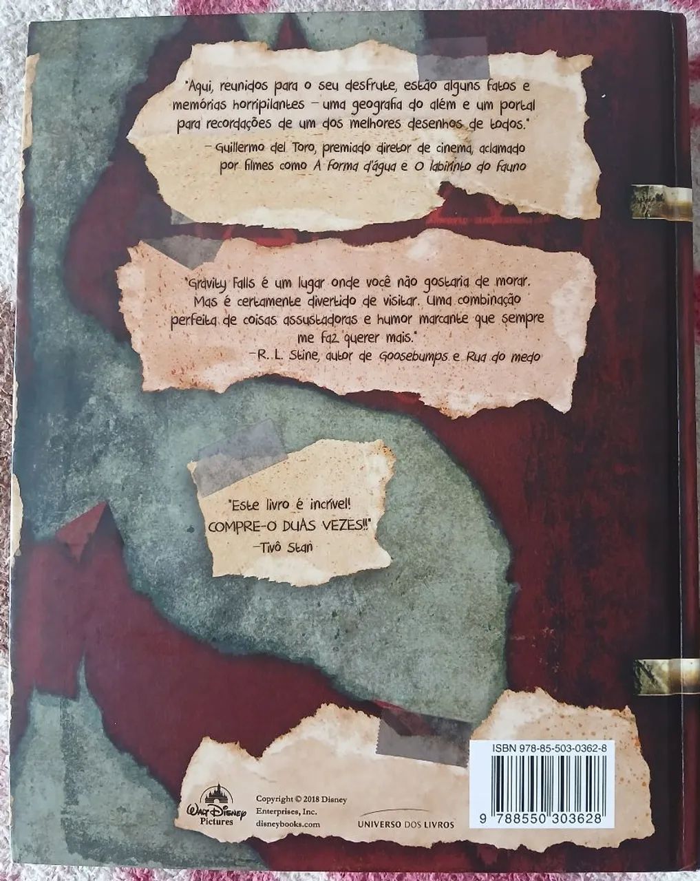 O Diário Perdido - Gravity Falls - Foto 4
