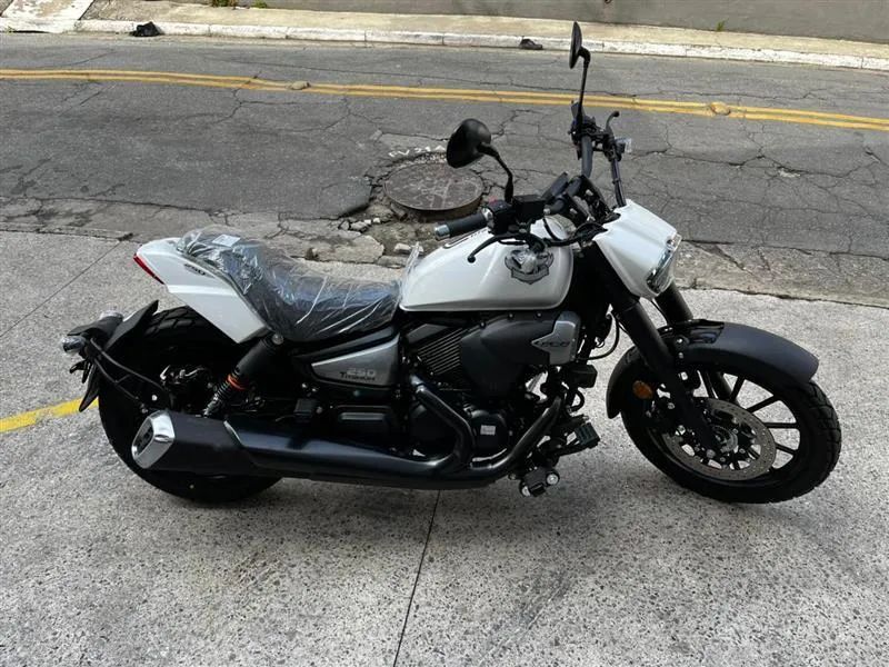 SHINERAY TITANIUM 250  - Foto 3