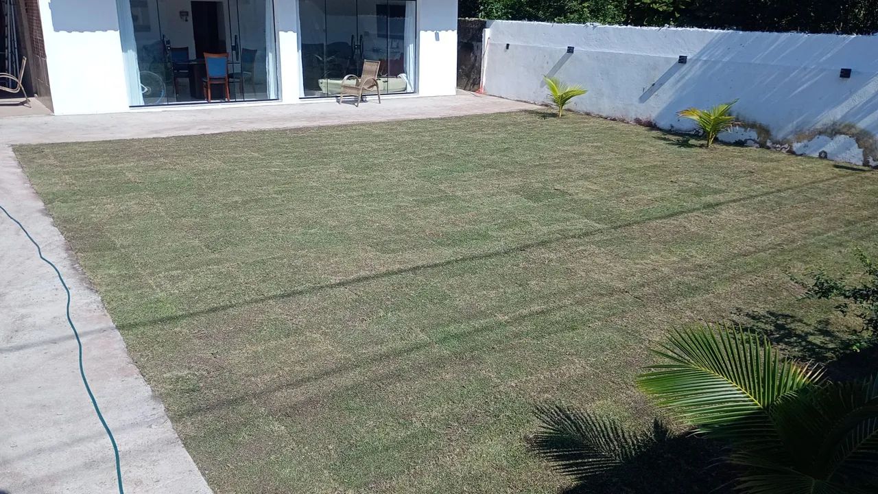 Jardinagem - Foto 2