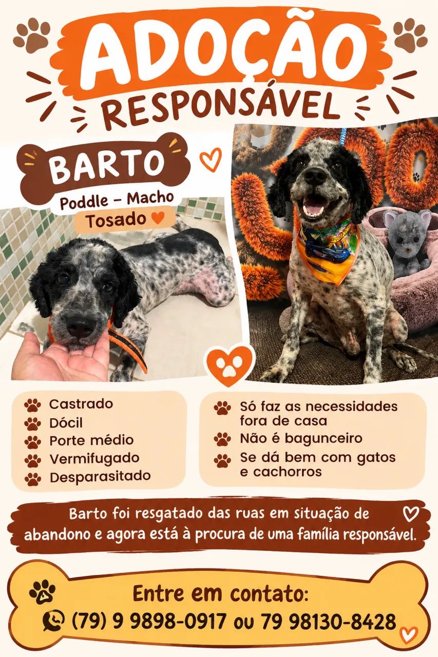 PARA ADOÇÃO RESPONSÁVEL 