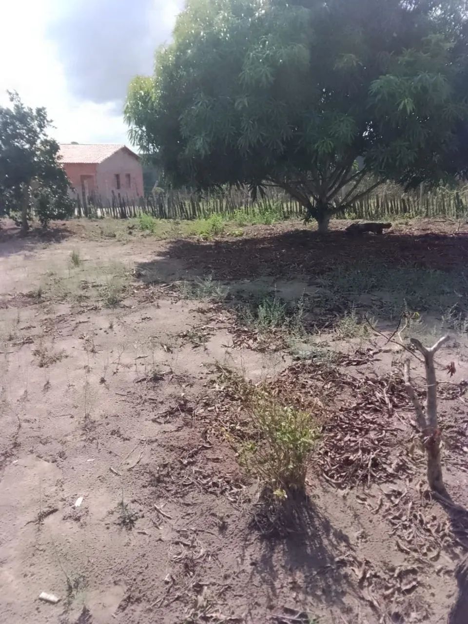 Terreno 12 tarefas com casa - Foto 3