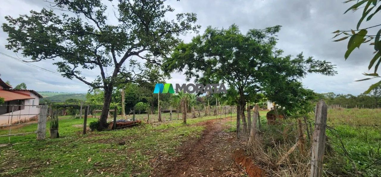 FAZENDA À VENDA - 34 HECTARES - CAETANÓPOLIS (MG) - Foto 4