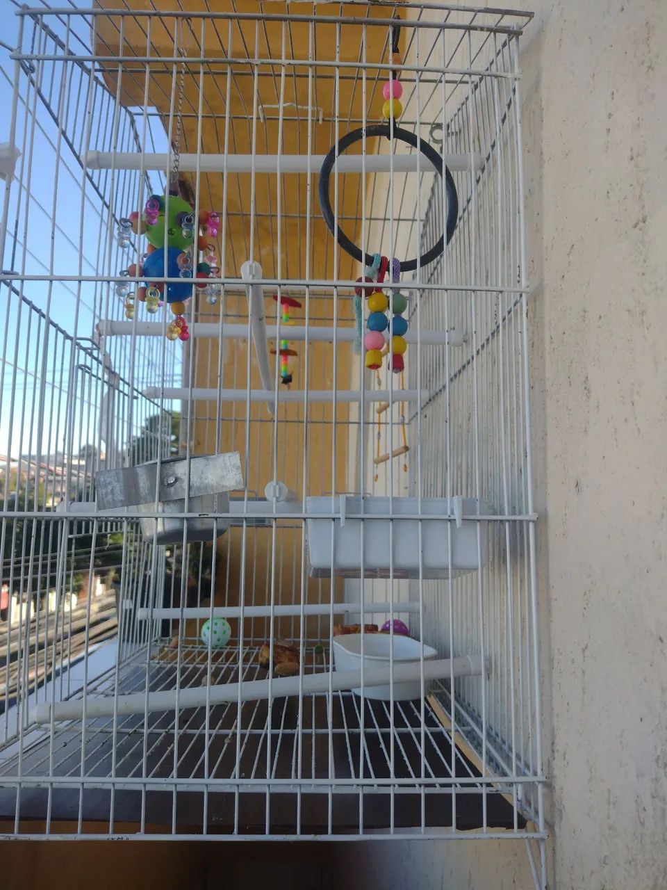 Gaiola grande  - Foto 2