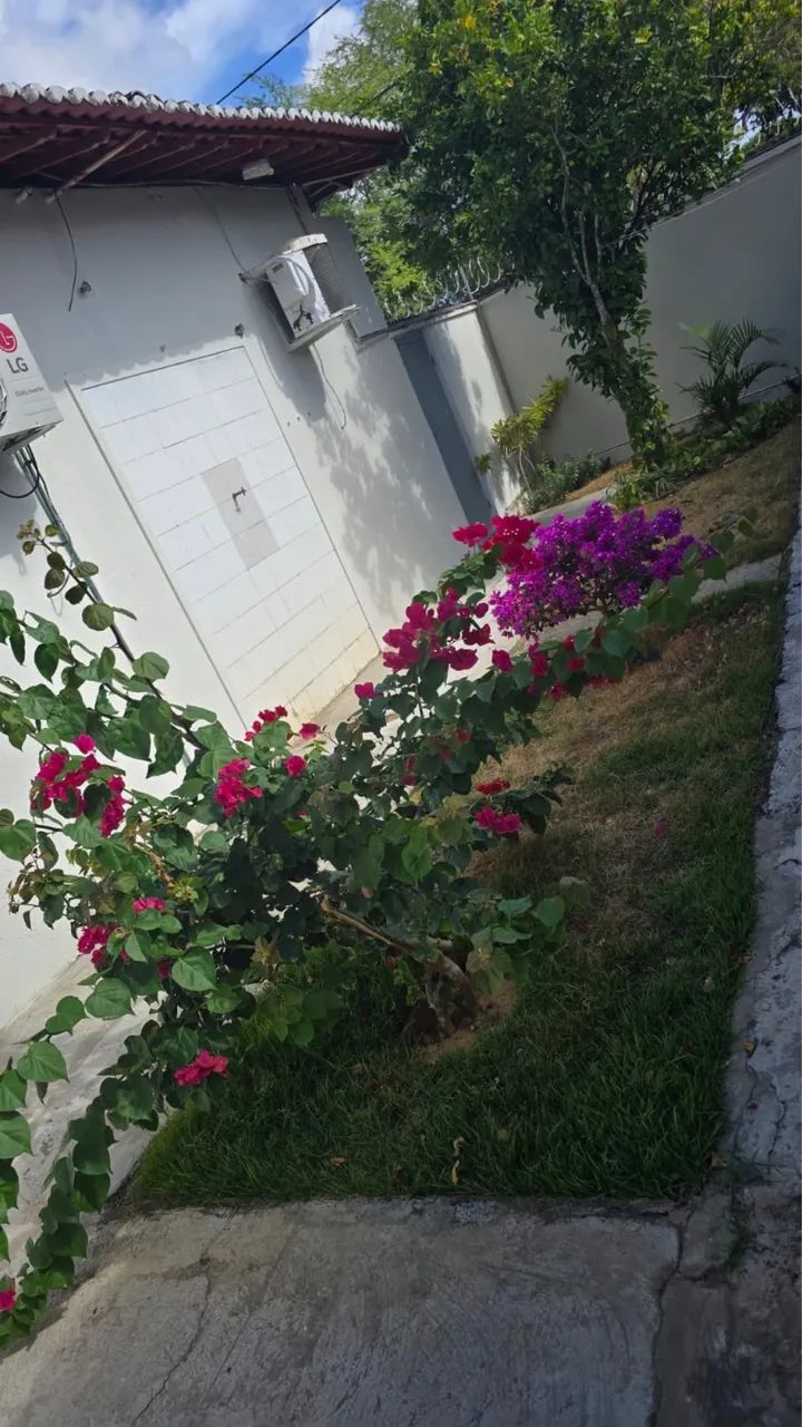 JARDINEIRO - Foto 4