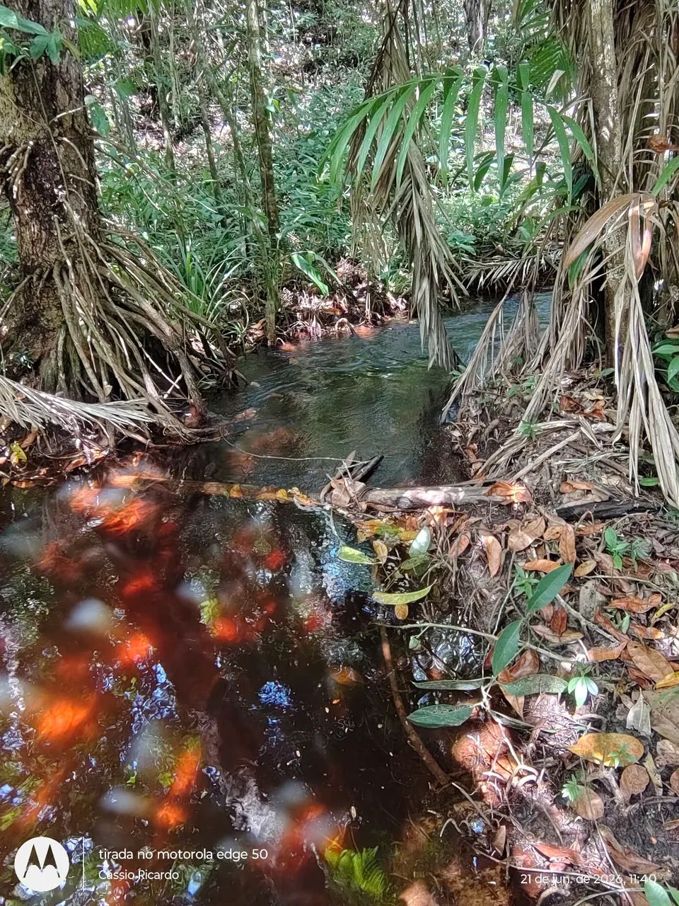 Terreno com rio no fundo  - Foto 3