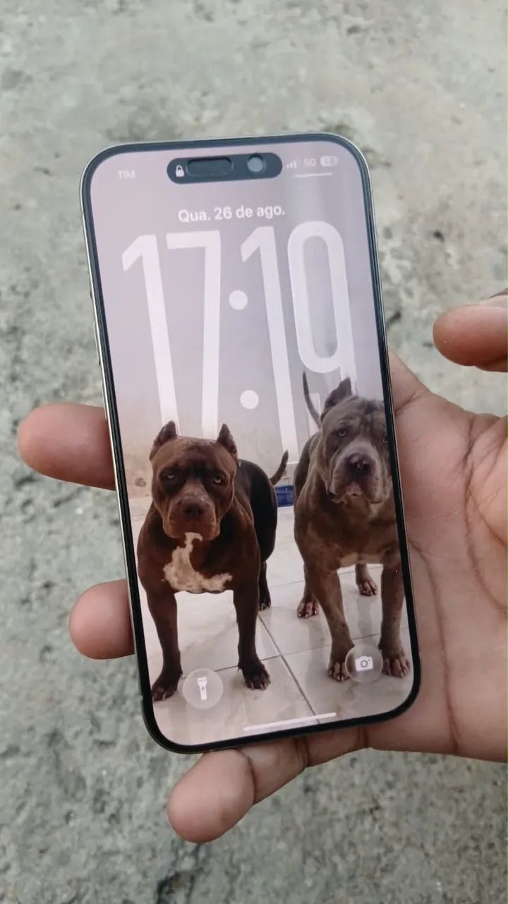 Vendo ou troco15 Pro