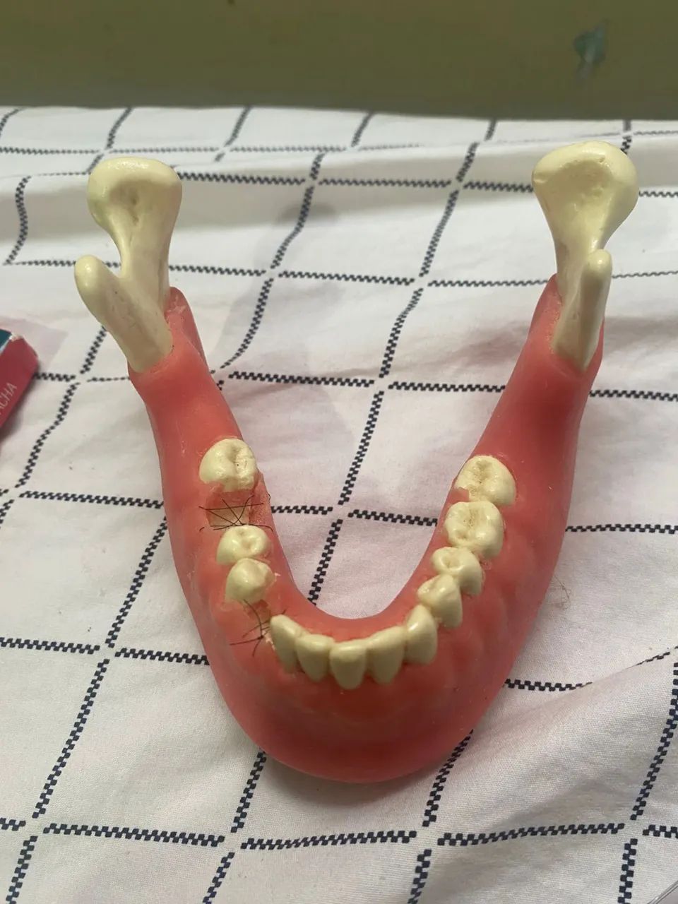 Kit de Modelos Odontológicos para Estudo - Usados