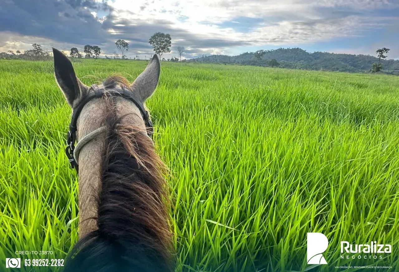 FAZENDA PRONTA PARA CRIA, RECRIA E ENGORDA | APENAS 5 KM DA CIDADE - Foto 2