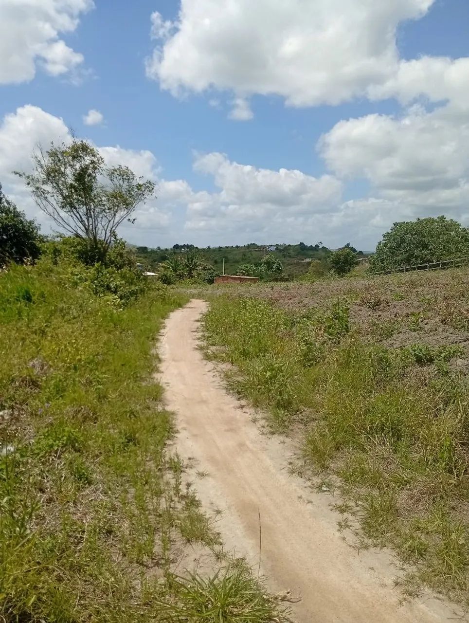 Terreno em chã grande 