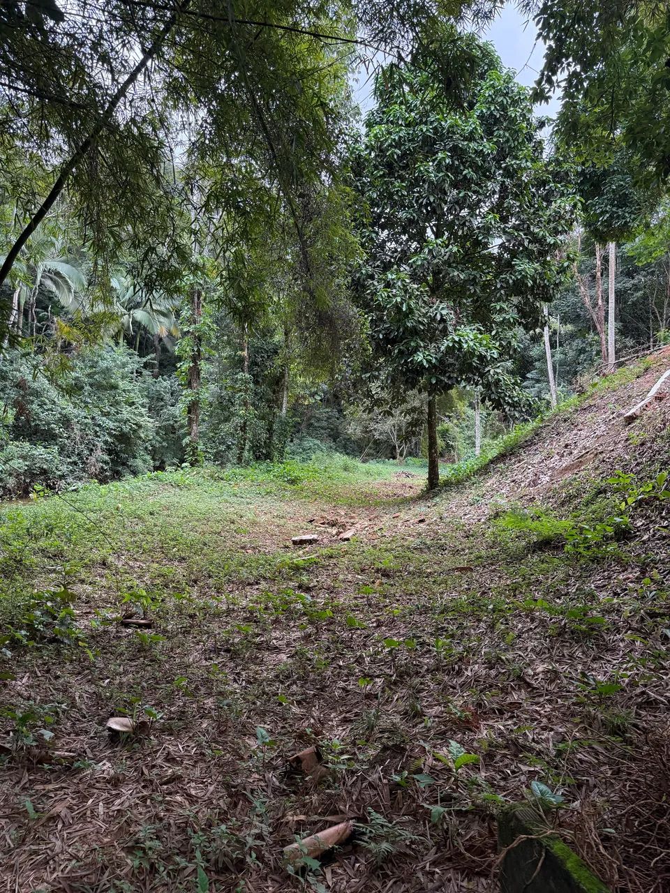 MARECHAL FLORIANO - Chácara / Terreno com Riacho passando dentro. - Foto 4