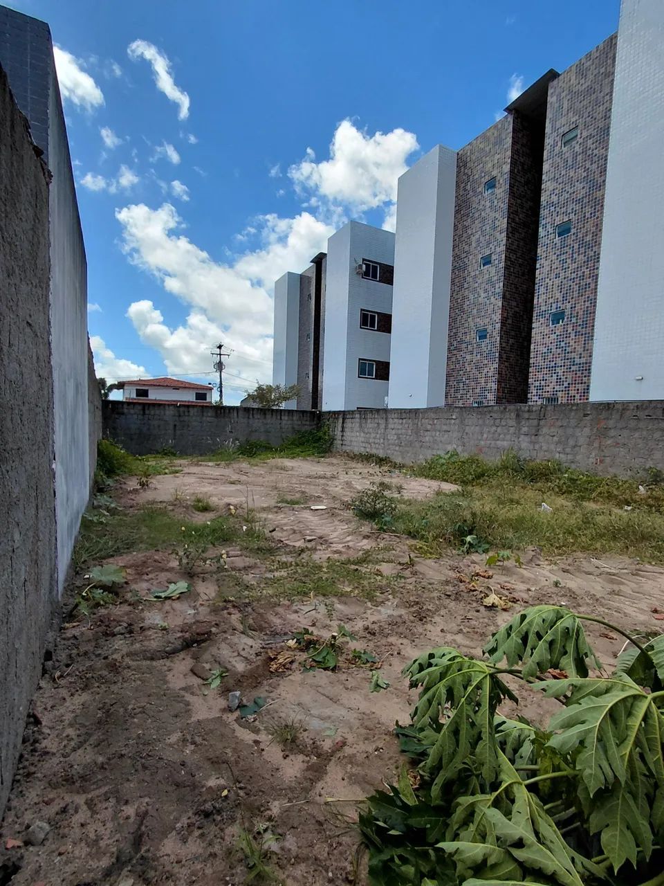 Terreno Colinas do sul  - Foto 4
