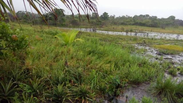 Terreno em Belmonte! 200.000m² Super Oportunidade! - Foto 5