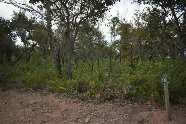 Lote Condomínio Recanto dos Piquizeiros no Manço - Foto 13