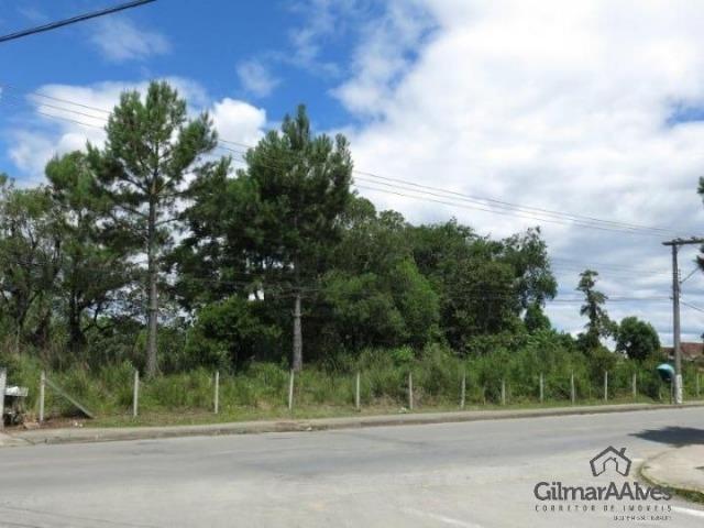 Vendo terreno, 7.238,30 m², São Bento do Sul / SC, Próximo ao Centro