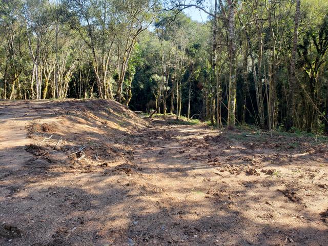 Chácara Agudos do Sul - 50 mts da Br c/ Tanque e rio - Foto 9
