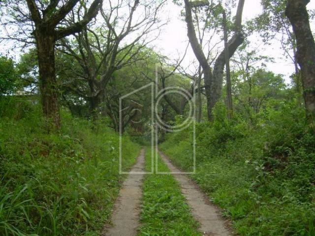 Terreno para alugar em Jardim santa teresa, Jundiai cod:L1687 - Foto 6