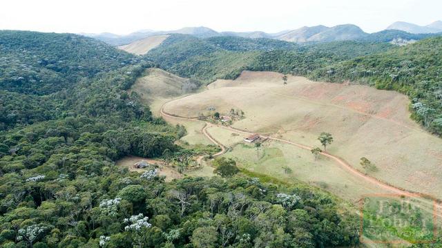 Fazenda com 588,71 hectares, situada na estrada Friburgo-Teresópolis, na altura de Vieira - Foto 2