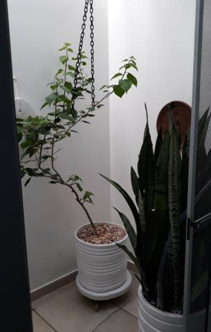 Casa Loteamento Eduardo - Líder Imobiliaria - Foto 9