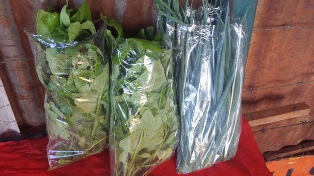 Verduras organicas , para revenda e cliente final