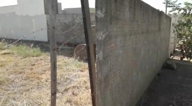 Terreno á venda Bairro Dom Bosco - Foto 7
