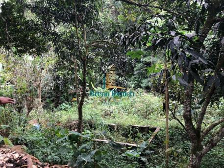 Chácara à venda, 4000 m² por r$ 120.000,00 - 20km de teófilo otoni - teófilo otoni/mg - Foto 7