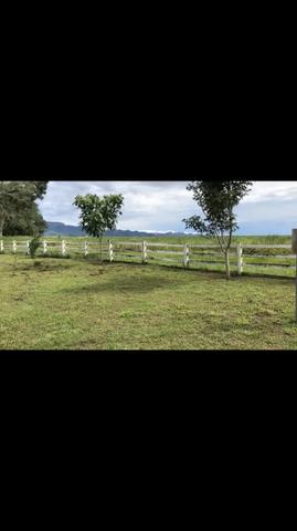 Fazenda em Rosário Oeste 1.460 hectares á venda - Foto 9