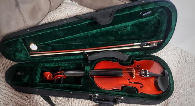 Violino