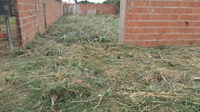 Venda de um terreno
