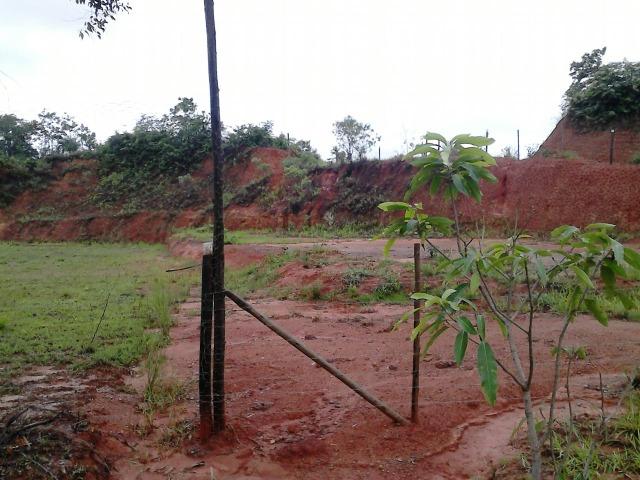 Terreno comercial as margens do asfalto - entrada + parcelas - Foto 8