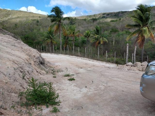 Sitio com 3 hectares Por Trás do Hotel highlander em Gravatá-PE - Foto 12