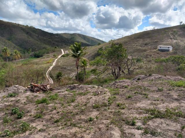 Sitio com 3 hectares Por Trás do Hotel highlander em Gravatá-PE - Foto 13