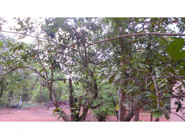 Chácara à venda em Zona rural, Chapada dos guimaraes cod:20937 - Foto 5