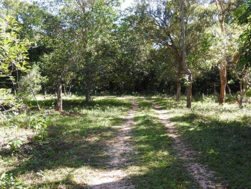 Chácara à venda em Estancia terra da gente, Cuiaba cod:14757 - Foto 9