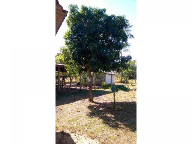 Chácara à venda em Zona rural, Santo antonio do leverger cod:21685 - Foto 9