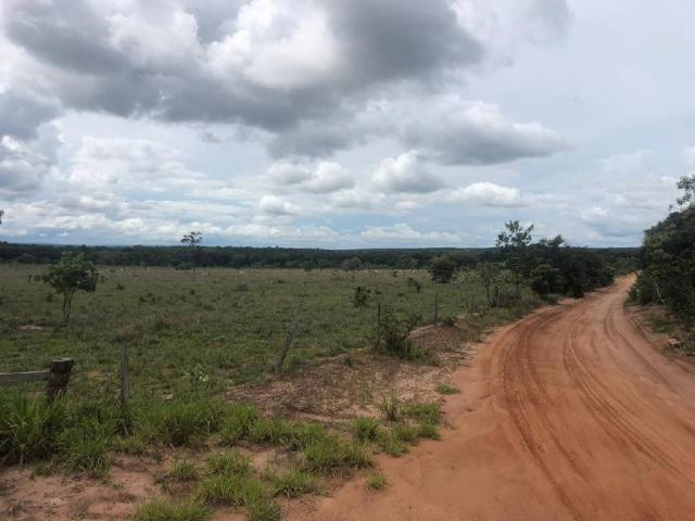 Chácara à venda em Rural, Nova mutum cod:22068 - Foto 19
