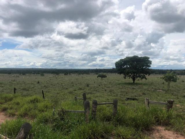 Chácara à venda em Rural, Nova mutum cod:22068 - Foto 16