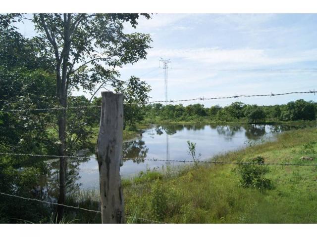 Chácara à venda em Zona rural, Cuiaba cod:20985 - Foto 6