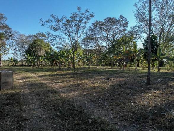 Chácara à venda em Zona rural, Santo antonio do leverger cod:21685 - Foto 11