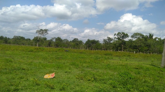 Fazenda em  Cantanhede-MA - Foto 5