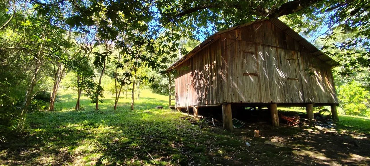 Chácara,no meio da floresta, 20 hectares 195,000,00 - Foto 5