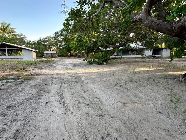 Sítio 60 hequitareas serra gande 1 cantá  - Foto 2